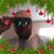 Darius Elliott's profile image