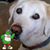 Kathy Nuskey Wertman's profile image