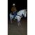 Ricardo Vargas's profile image