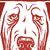 Chris Gouchenour's profile image