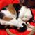 Leigh Anne Black Crumpton's profile image
