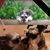 LaDonna Sue Pollard Nurse's profile image