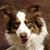 Joyce Simpson's profile image