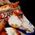 Margo Davidson's profile image