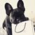 Tracie Alicia Chellis's profile image