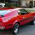 Doyle Lening's profile image