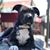 Kevin Bridleman's profile image