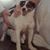 Pamela Elizabeth's profile image