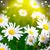 Shannon Henson Bonds's profile image
