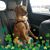 Rhonda Lord's profile image