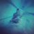 Mike Looman's profile image