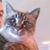 Jean J Harris's profile image