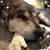 Sandra Fontaine's profile image