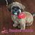 Cathy Jo Slape Frutiger's profile image