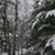 Nancy Goodwin Hanlon's profile image