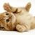 Martha Simmons's profile image