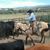 George Groseta's profile image