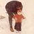 Steve Lange's profile image