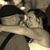 Jason Rosebrough's profile image