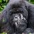 Marty Jr Alterson's profile image