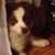 Deborah Petty's profile image