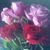 Ashonda Morgan-Edenfield's profile image