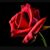 Jenny King's profile image