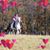 Diedra J. Diesch's profile image