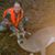 Jenni Rinne's profile image