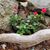 Patti Lawton's profile image