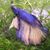 Dawn Marie Scoggins's profile image
