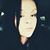 Tammy Margaret's profile image