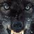 Eduardo Gonzalez's profile image