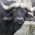 TRACY B.'s profile image