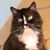 Linda Lindberg's profile image