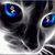 Lisa Jackie Phillips's profile image