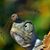 Cat Lynch's profile image