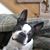 Lisa Hallow's profile image