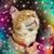 Bethy Wold's profile image