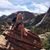Shelley Schmidtke's profile image