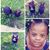 Nichola Mckenzie's profile image