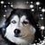 Debra Smith Umphlett's profile image