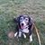 Marti WMueller's profile image