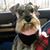 Pennie Arrington's profile image