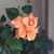 Patti Myers's profile image