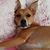 Nancy Patterson's profile image