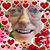 James Nickerson's profile image