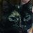 Carol Ellis's profile image