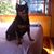 Jaime Galeano's profile image