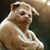 Raul Hernandez's profile image
